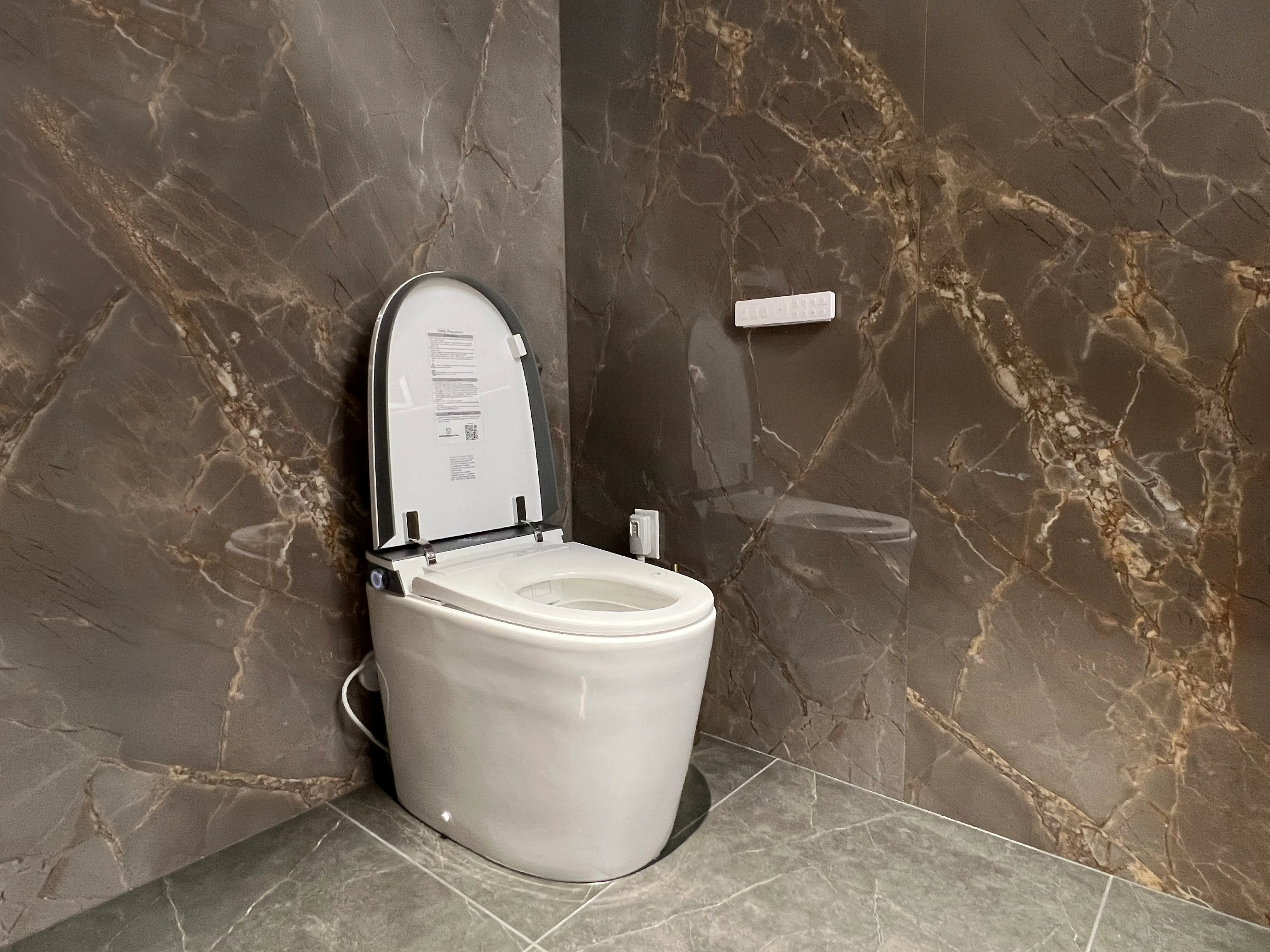 Smart Toilet in Primary Bath